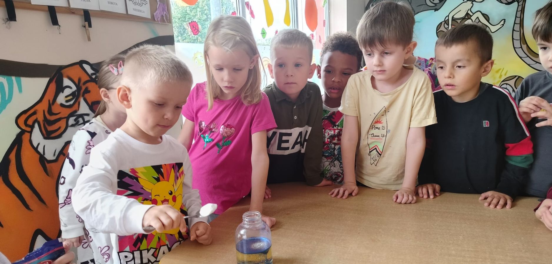 Przedszkole niepubliczne Bydgoszcz