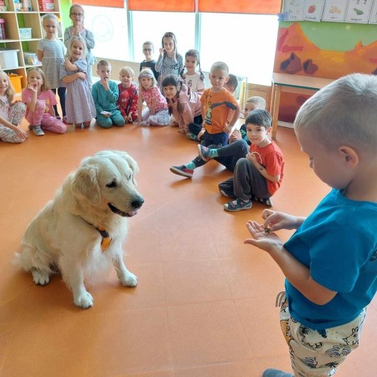 zooterapia-zajecia-z-psami-przedszkole-sezamkowe-4