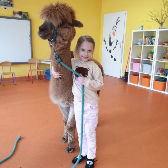 zooterapia-zajecia-z-psami-przedszkole-sezamkowe-6