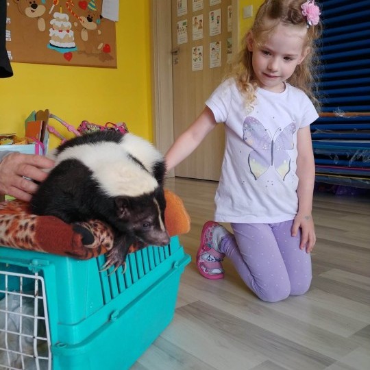 zooterapia-zajecia-z-psami-przedszkole-sezamkowe-8
