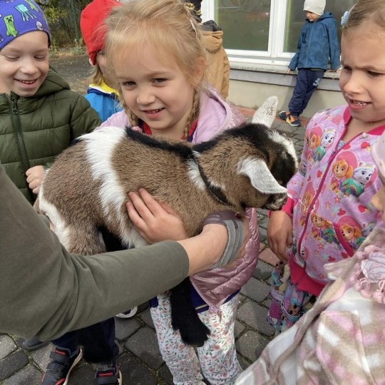 zooterapia-zajecia-z-psami-przedszkole-sezamkowe-9
